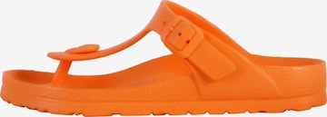 Plakton Pantolette in Orange: Vorderseite