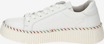 Chaussure à lacets GABOR en blanc : devant
