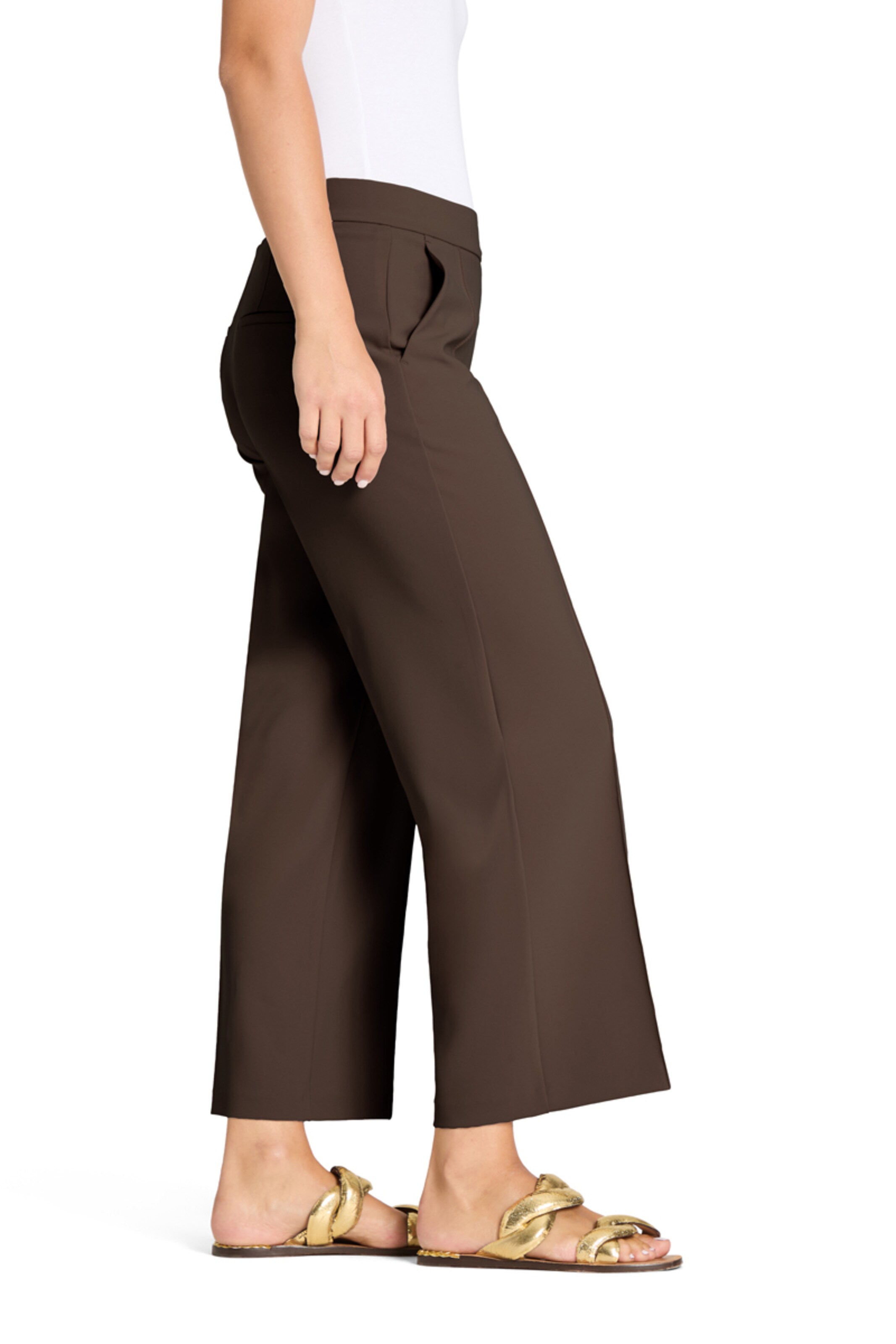 Regular Pantalon à pince ' Cameron ' Cambio en marron