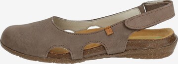 EL NATURALISTA Ballet Flats with Strap in Brown