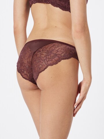 TRIUMPH Regular Panty 'Amourette Charm' in Brown