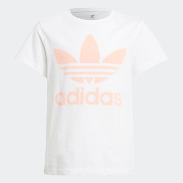 T-Shirt ADIDAS ORIGINALS en blanc