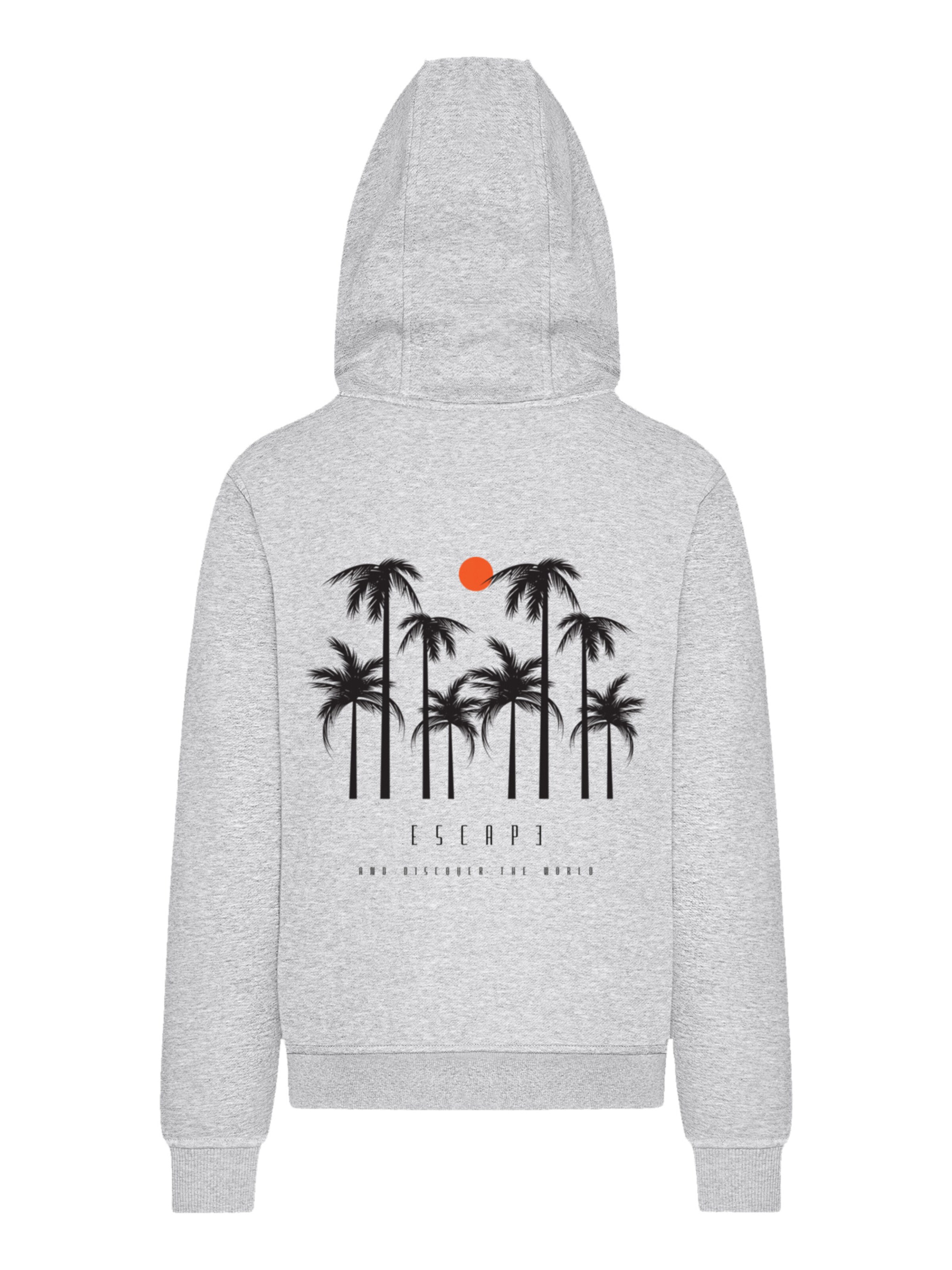 F4NT4STIC Sweatshirt in Grijs