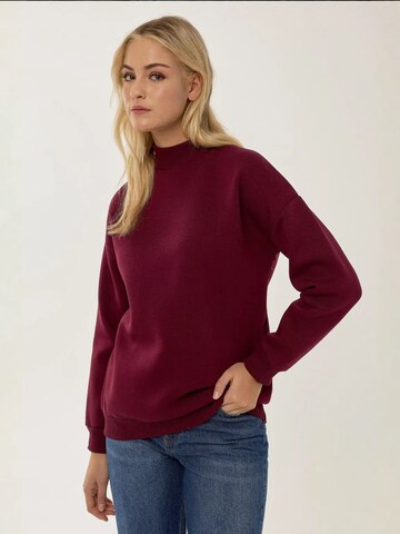 Hiccup Sweatshirt in Rot