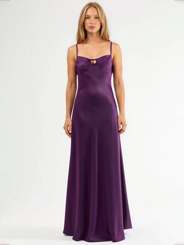 Hiccup Evening Dress in Purple