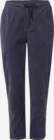 Regular Pantalon 'Trapas' Iriedaily en gris : devant