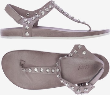 INUOVO Sandals & High-Heeled Sandals in 39 in Grey: front