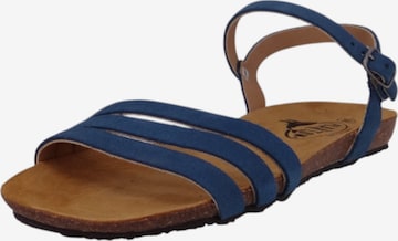 Sandales Plakton en bleu : devant