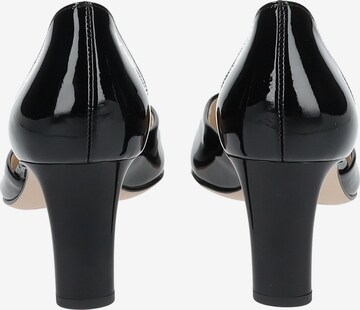 Högl Pumps in Black