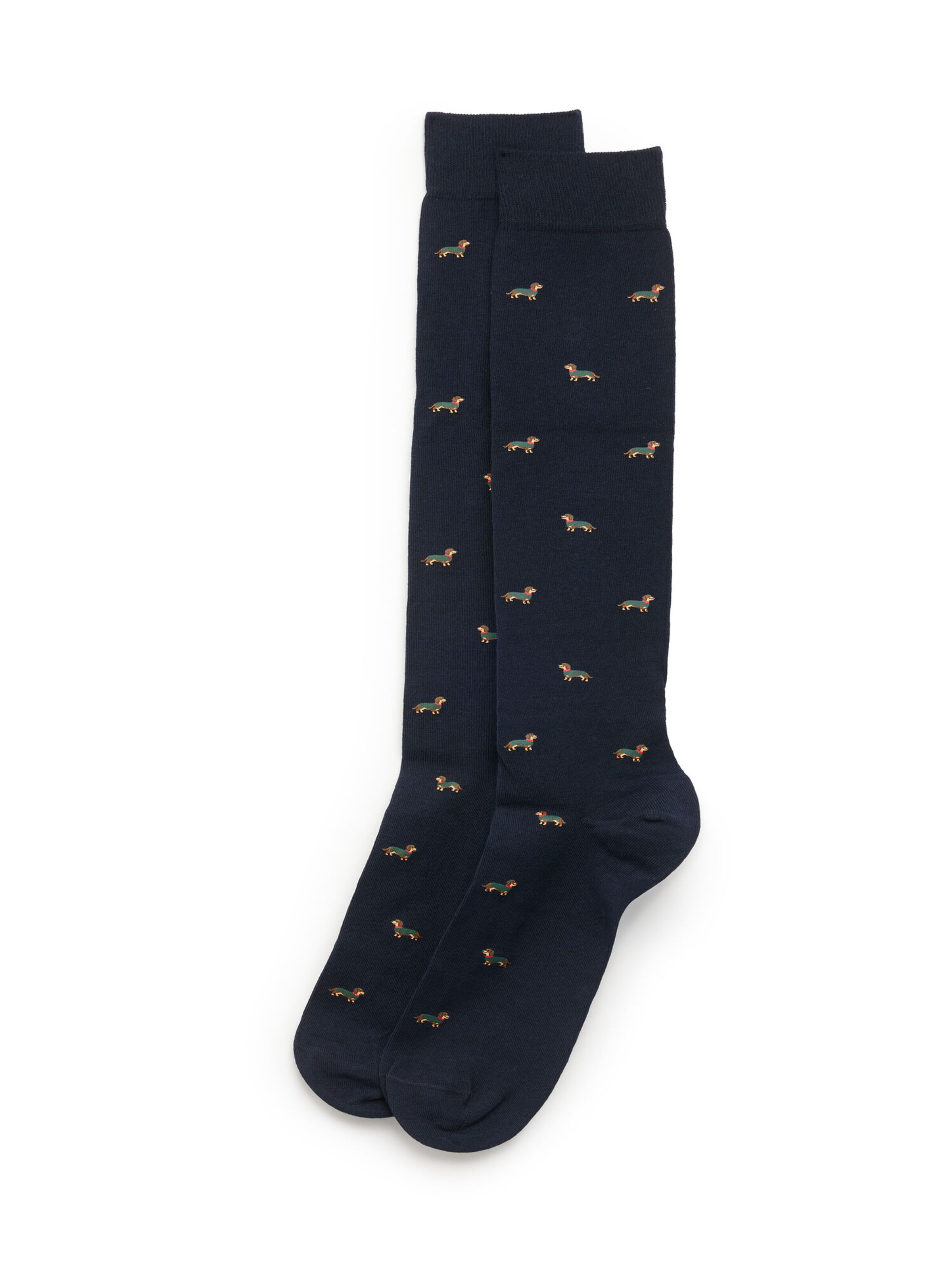 IUMAN Intimissimi Socken in Blau: Vorderseite