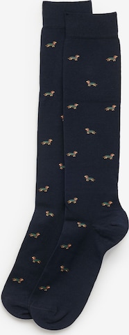 IUMAN Intimissimi Socken in Blau: Vorderseite