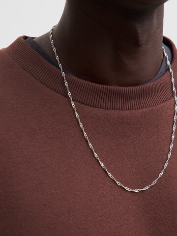 JACK & JONES Свитшот 'JJEBRADLEY' в Коричневый