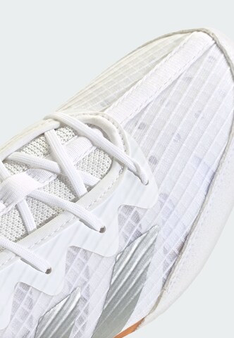 Chaussure de sport 'Box Hog 4' ADIDAS PERFORMANCE en blanc