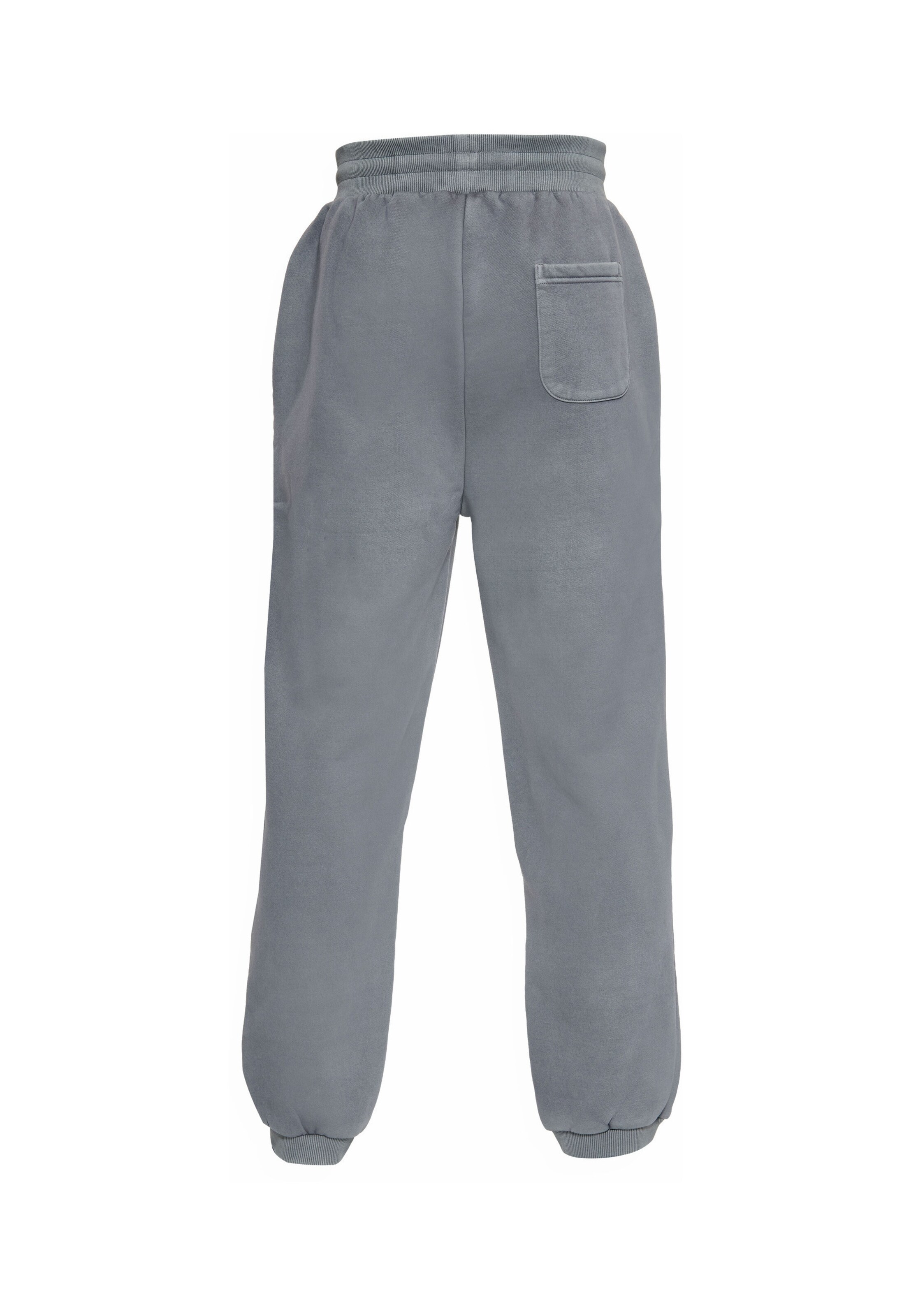 Dropsize Regular Broek in Grijs