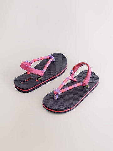Next Sandal in Purple