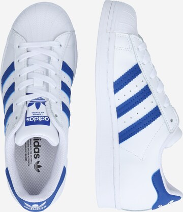 ADIDAS ORIGINALS Sneakers 'Superstar' in Wit