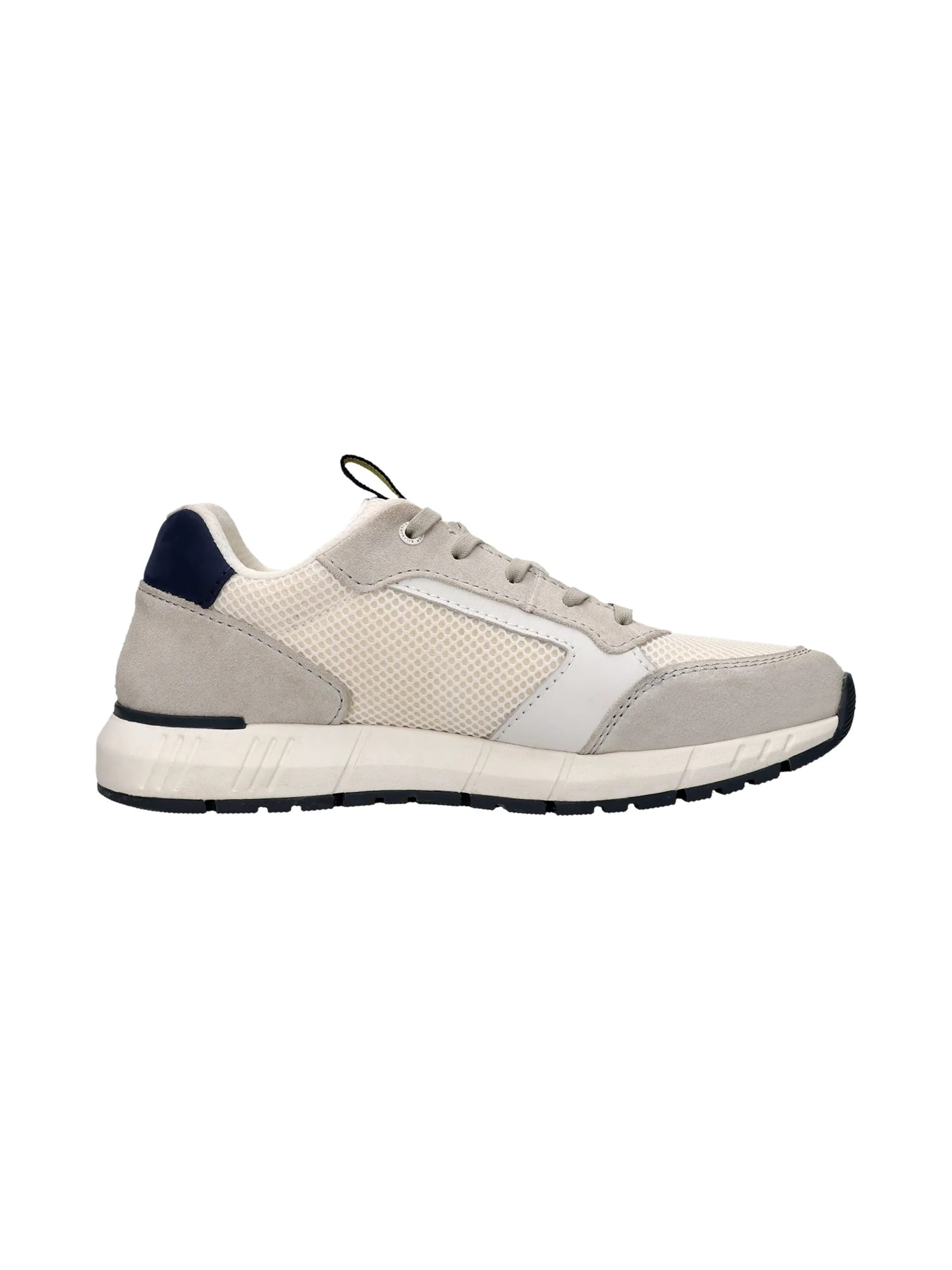 SALAMANDER - Zapatillas deportivas bajas en gris