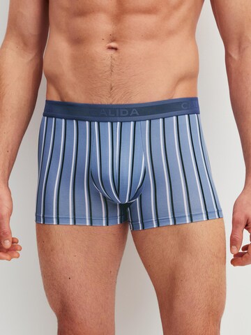 CALIDA Boxershorts 'Grafic Cotton' in Blauw