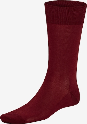 Chaussettes 'Clark' KUNERT en rouge : devant