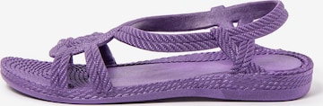 Brasileras - Sandalias 'Esmirna' en lila: frente