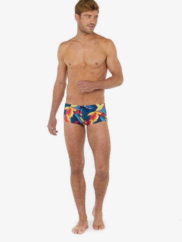 HOM Swim Trunks 'Keran' in Blue