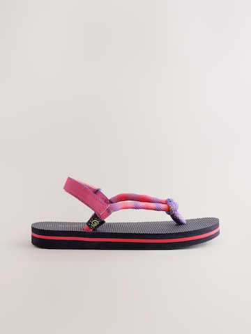 Next Sandal in Purple