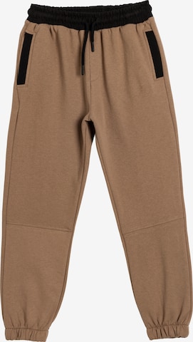 Koton Regular Pants in Brown: front