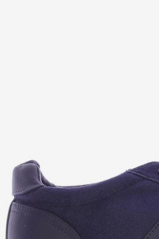 Polo Ralph Lauren Sneaker 43 in Blau