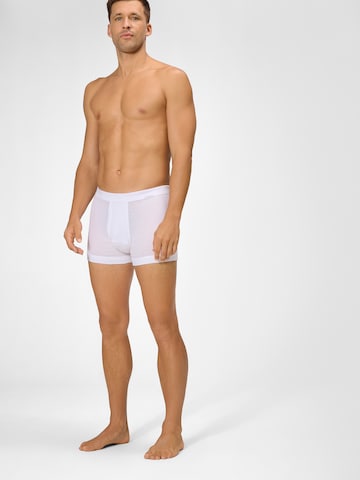 Ammann Boxer shorts ' Organic Feinripp ' in White