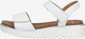 ARA Sandals in White