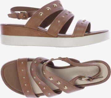 ECCO Sandals & High-Heeled Sandals in 38 in Brown: front
