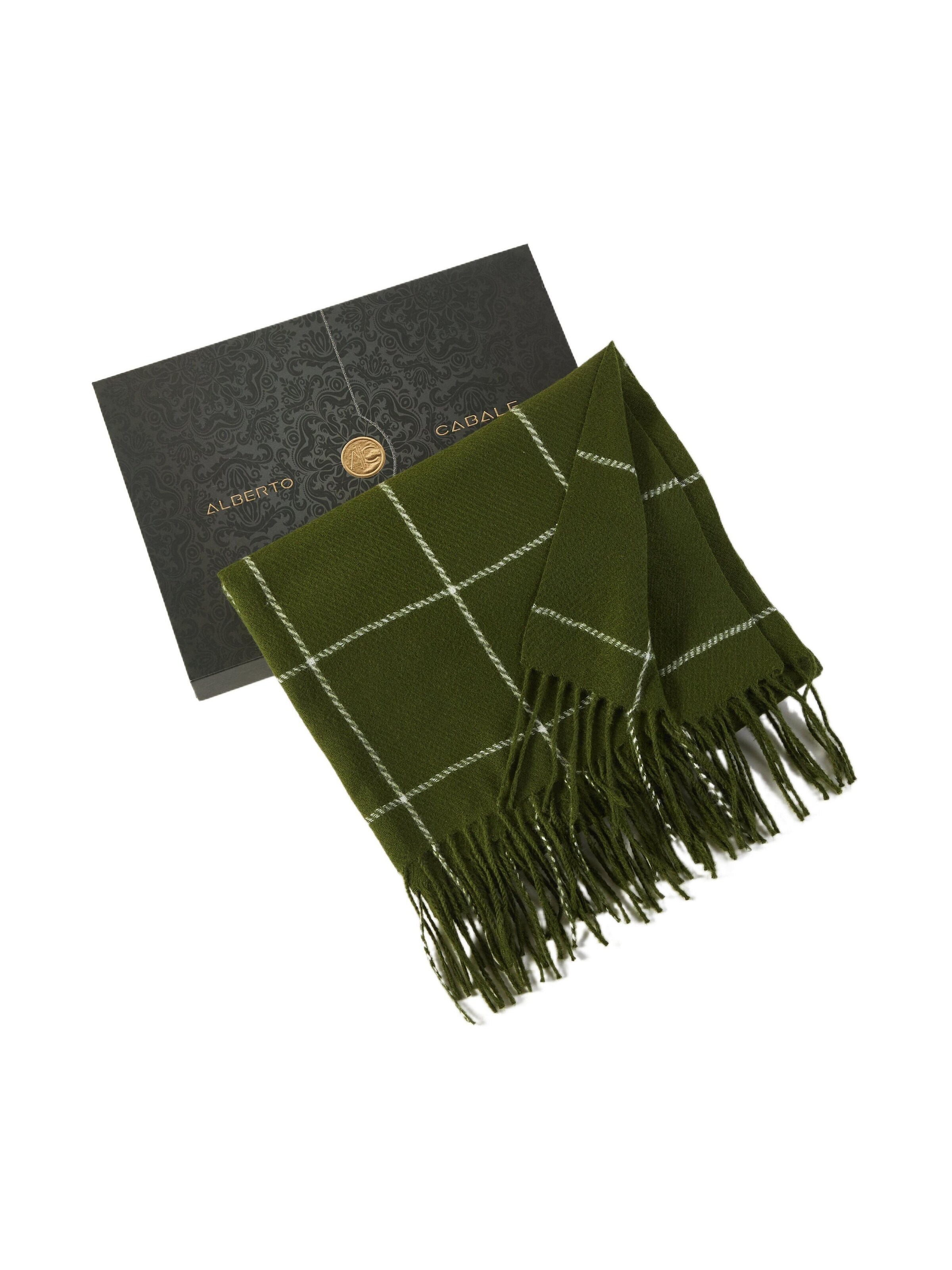 alberto cabale Scarf 'Line' in Green