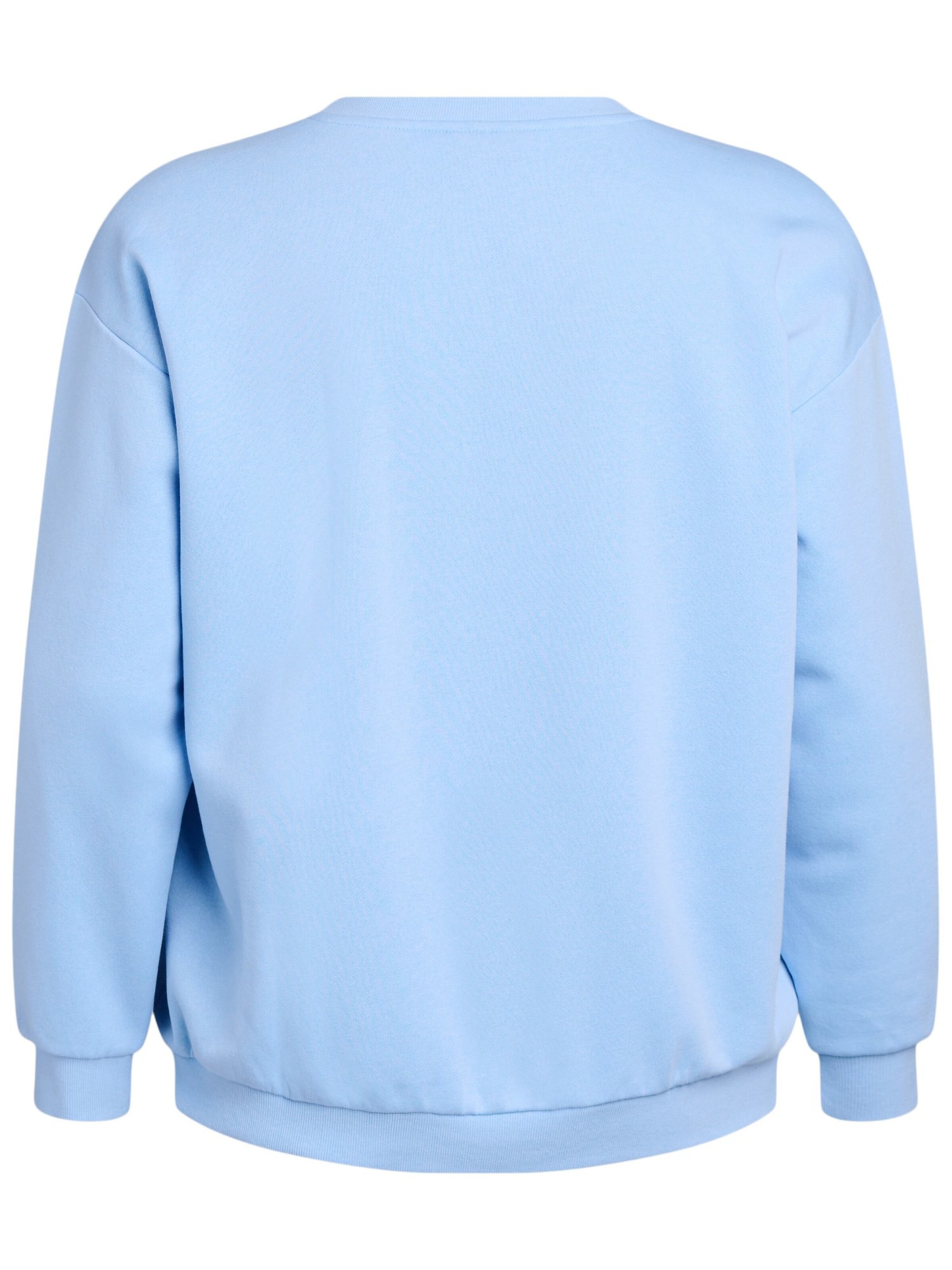 Active by Zizzi Sweater 'Cannie' in Blue
