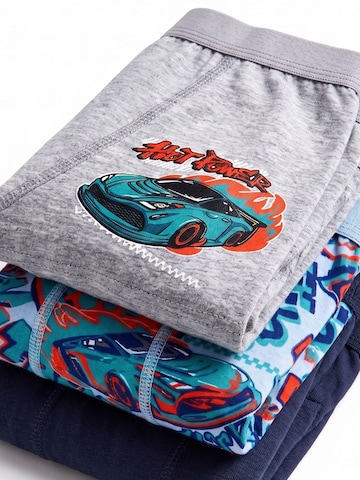 ÖTSGaće 'ÖTS Herren-Boxershorts' - siva boja