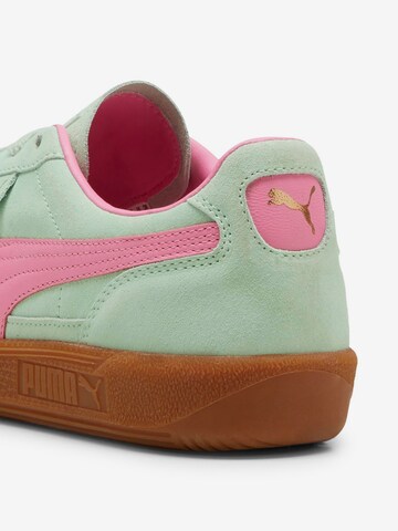 PUMA Trampki niskie 'Palermo' w kolorze zielony