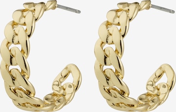 Pilgrim Korvakoru 'Mayer' värissä kulta: etupuoli