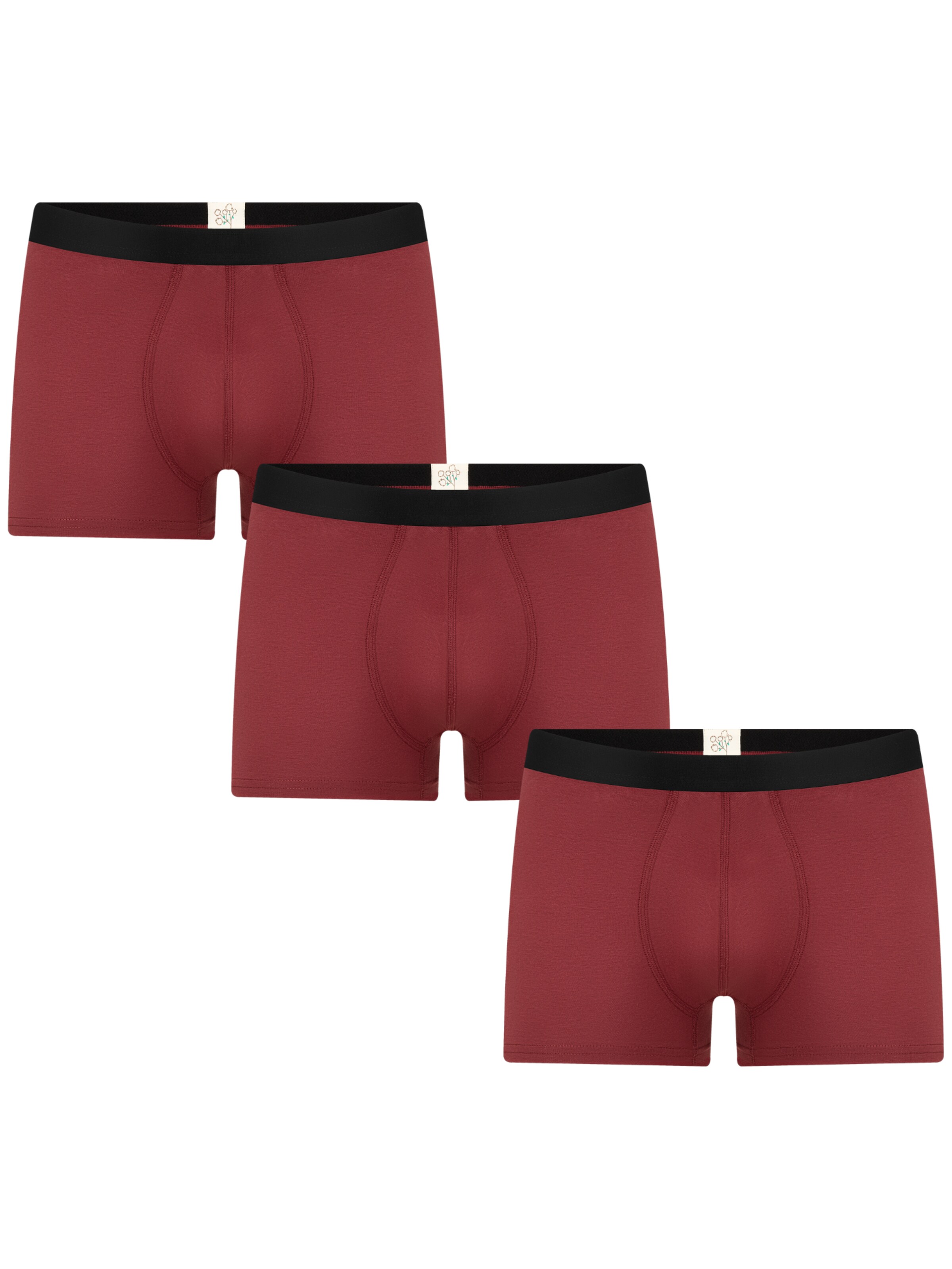 Albero Natur Boxer shorts in Red: front
