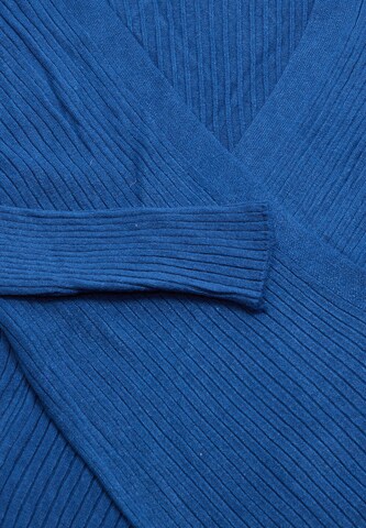 EUCALY Pullover in Blau