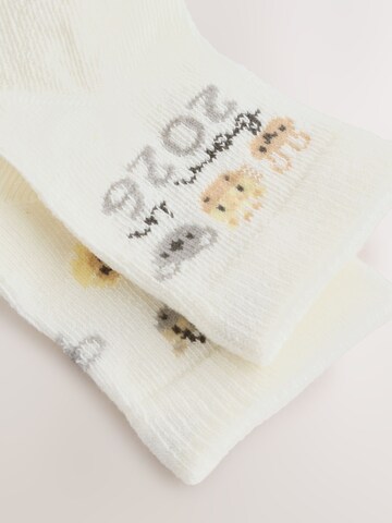 Next Sockor 'Born In 2026' i vit