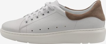 DreiMaster Maritim Sneaker in Weiß: predná strana