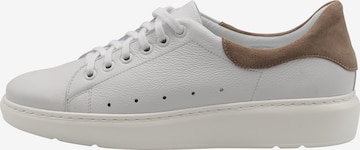 DreiMaster Maritim Sneakers in White: front