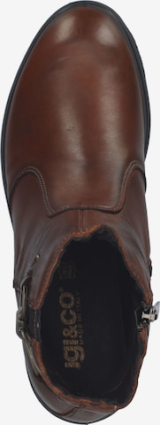 Bottines IGI&CO en marron