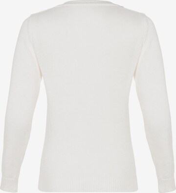 CIPO & BAXX Pullover in Weiß