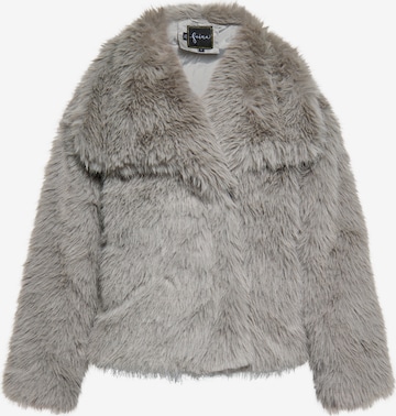 faina - Chaqueta de invierno en gris: frente