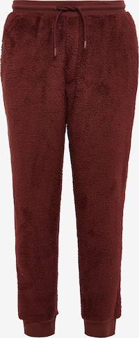 Pantaloncini da pigiama di Threadbare in rosso: frontale