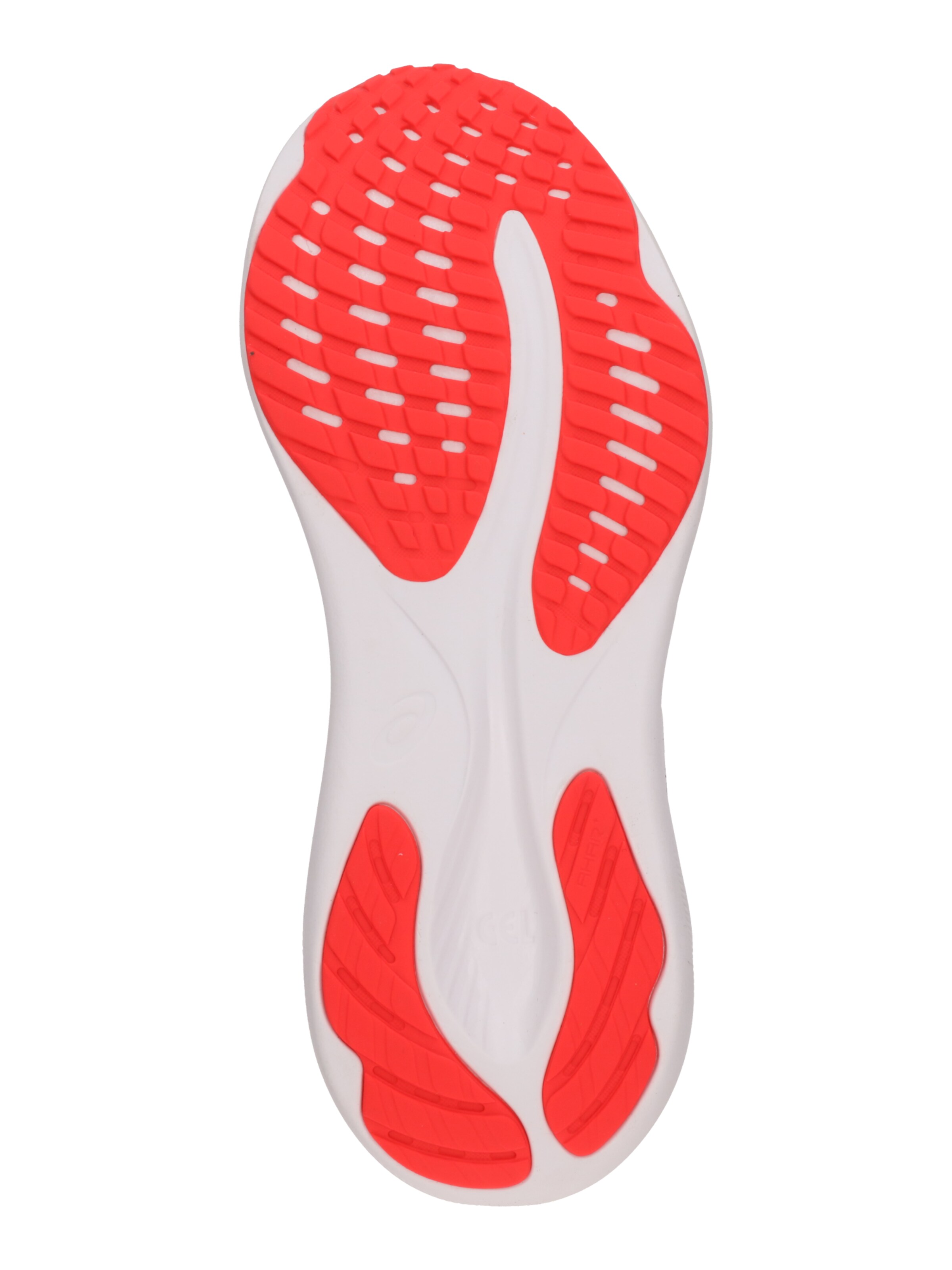 Chaussure de course 'GEL-PULSE 16' ASICS en noir