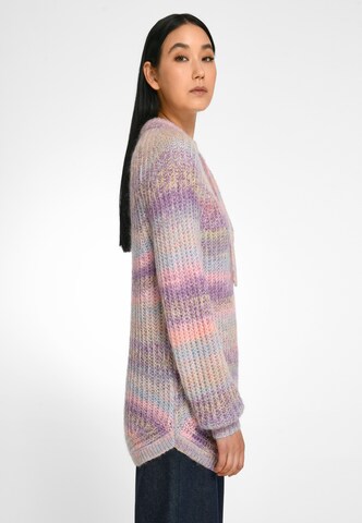 Peter Hahn Sweater in Purple