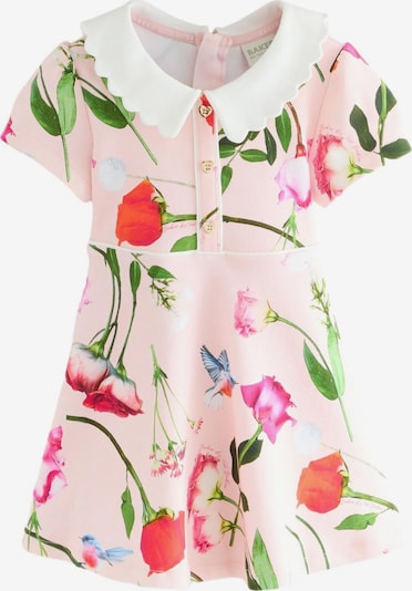 Baker by Ted Baker Haljina veličine 62 u zelena / roza / crvena / bijela, Pregled proizvoda