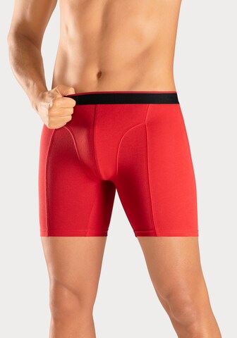 Authentic Le Jogger Boxershorts in Blau: Vorderseite