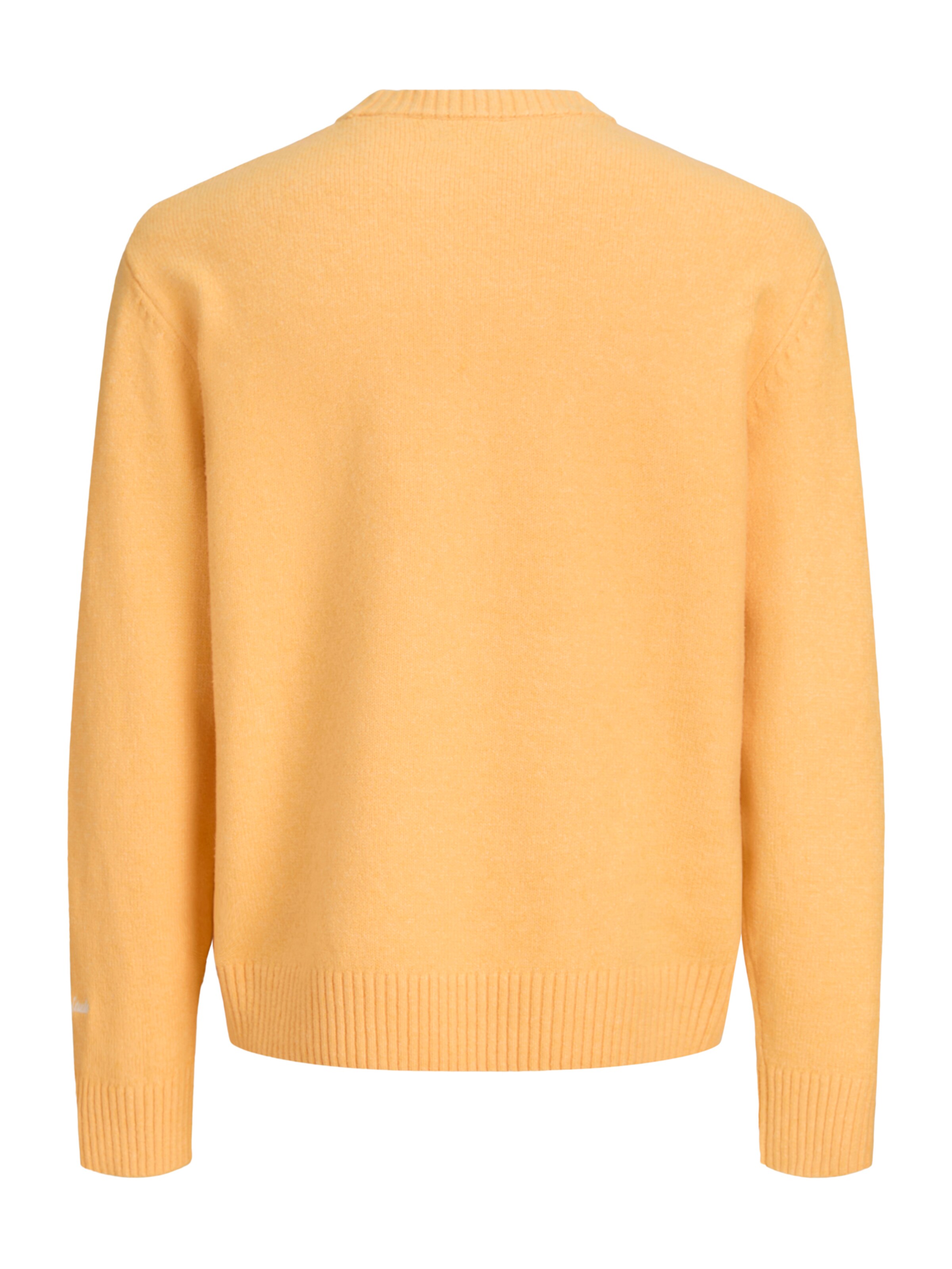 JACK & JONES Πουλόβερ 'JORNORREBRO' σε καφέ